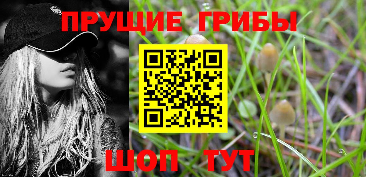 хочу наркоту  Галлюциногенные грибы MAGIC MUSHROOMS  Галлюциногенные грибы Magic Shrooms  Вход с VPN  Верхний Уфалей 